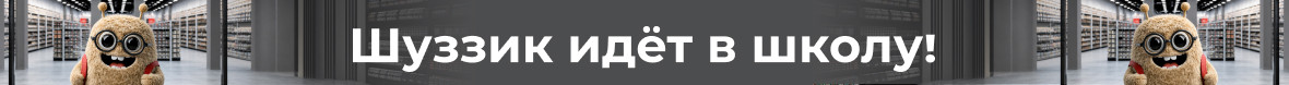 Шуззик идет в школу