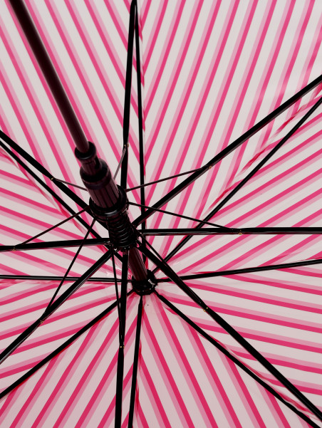 Зонты WiMi 0165000119