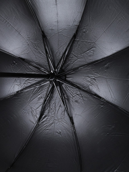 Зонты Beagle 1184000235