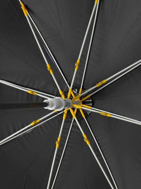 Зонты Beagle 1184000353