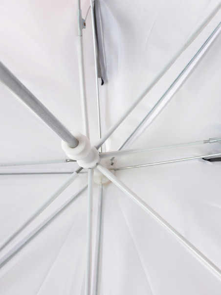 Зонты Beagle 1184000358