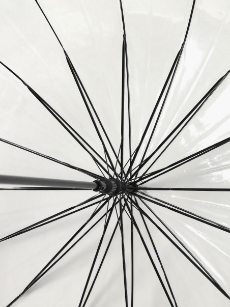 Зонты Beagle 1184000381