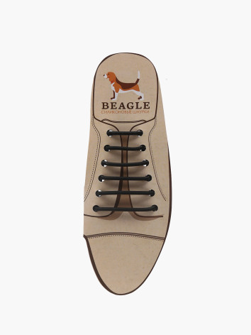 Шнурки Beagle