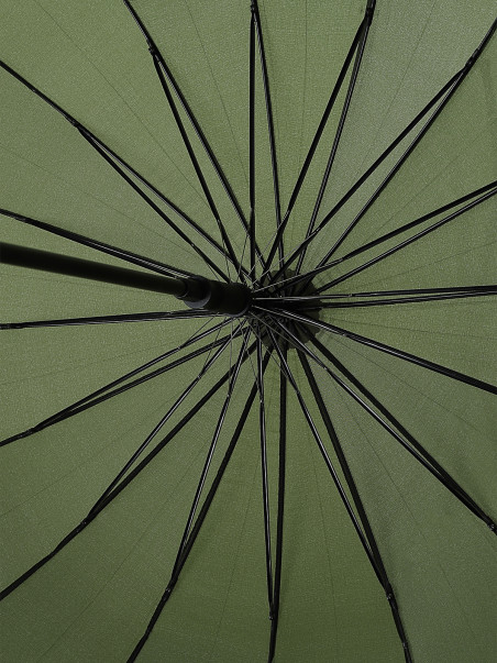 Зонты Beagle 1497000559