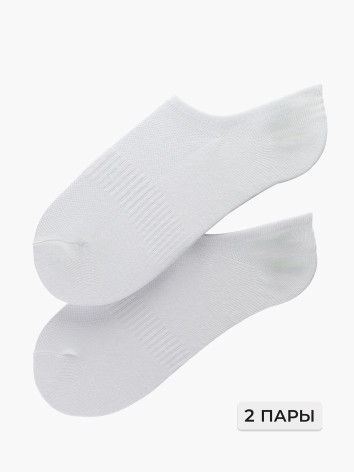 Подследники Beagle